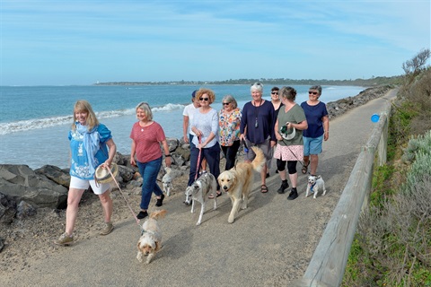 Group of women walking their dogs on a path