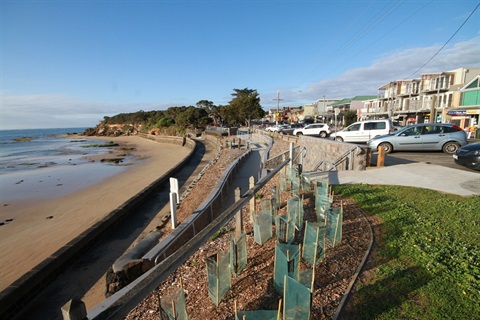 Point Lonsdale foreshore, trees being planted