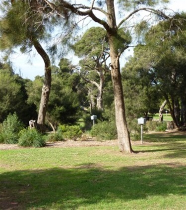 Victoria Park camping