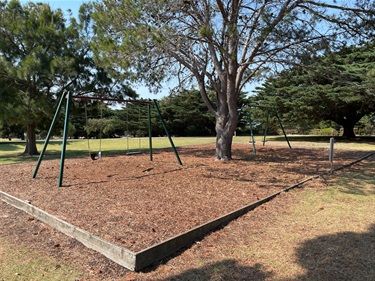 Citizens Park swing set