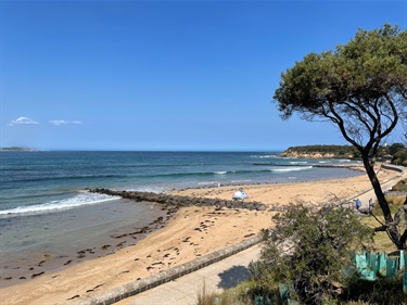 Point Lonsdale Foreshore Reserve North beach view