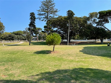 Princess Park green space