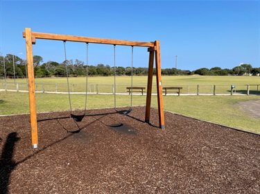 Royal Park Recreation Reserve swing set