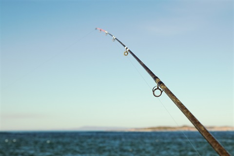Fishing rod casting out over Port Phillip Bay