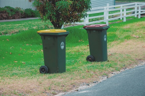 A recycling bin and a landfill bin ready for kerbside collection