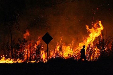 Silhouette of a firefighter in front of burning forest