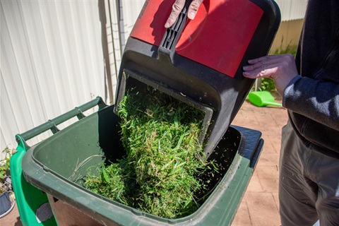 Lawn trimmings being poured into a green waste bin