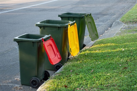 Various coloured waste bins presented for collection on the kerb