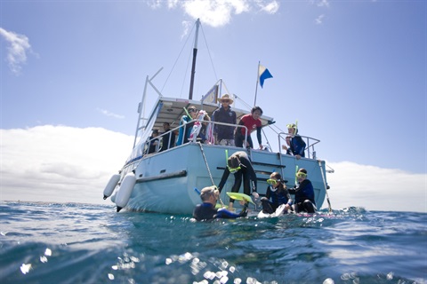 Half-underwater photo of people hanging off the back of a boat in the ocean