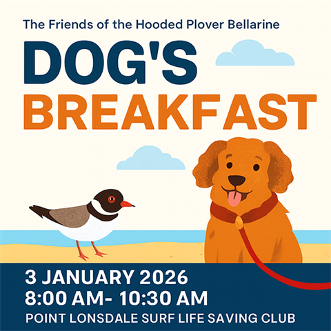 Dog's Breakfast 3 January at Point Lonsdale Surf Lifesaving Club hosted by Friends of the Hooded Plover Bellarine