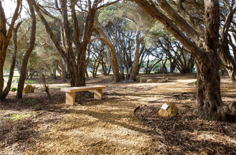 Community Restoration at Queenscliff Cemetery Working Bees