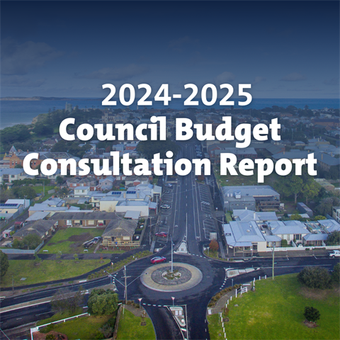 Consultation-Report-2024-2025.png