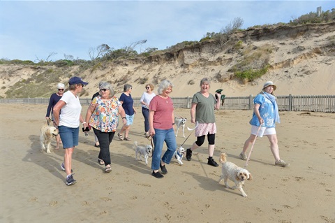 A group of women walking their dogs on Narrows Beach in Queenscliff
