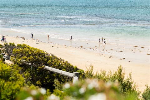 Summer-beach-Queenscliff.jpg