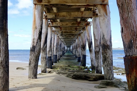 Looking underneath Queenscliff Pier