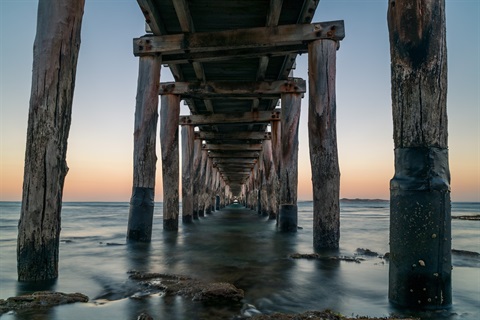 View from underneath the Queenscliff Pier